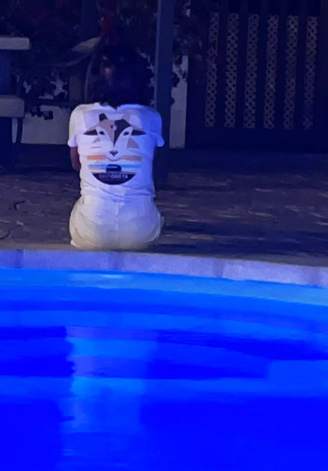 Baifopiscina Baifopiscina